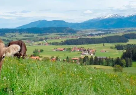 Bergblick Dachgeschoss