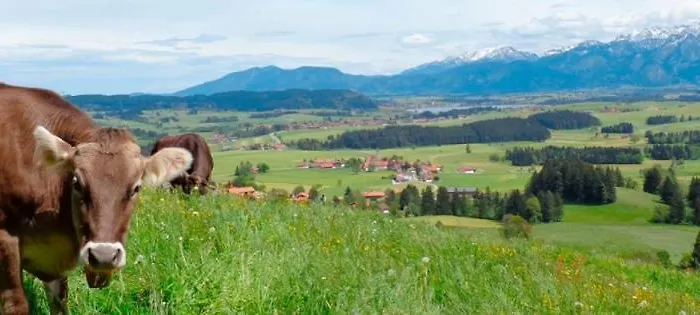 Bergblick Dachgeschoss